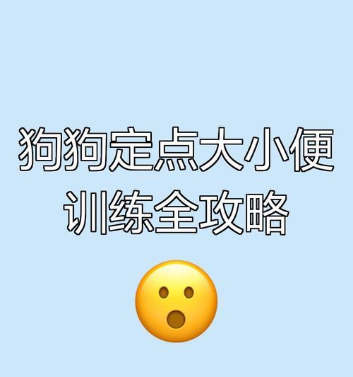 如何训练狗狗定点大小便？（解决小狗乱拉问题的有效方法）