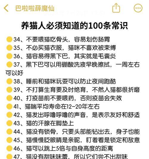 猫咪的禁忌之处——哪些地方不能碰（小心触碰！猫咪身上的禁区有哪些？）