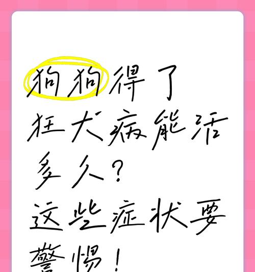 揭秘狗狗为何喜欢吃纸巾（别再责怪狗狗了，可能有潜在的毛病）