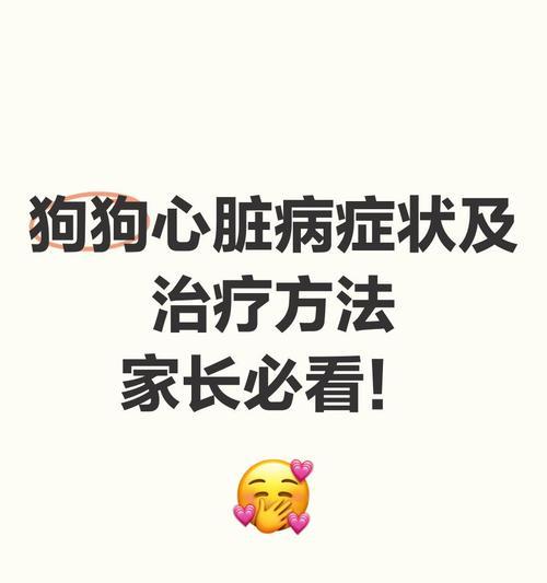 狗狗心脏病的常识及救命方法（了解狗狗心脏病的症状和预防，学会急救措施！）