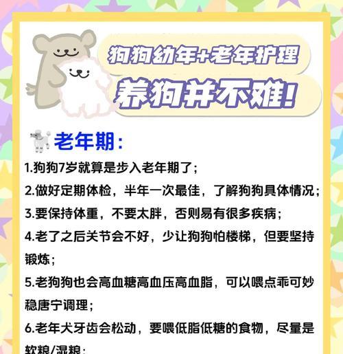 狗狗产后护理指南（如何照顾产后的母狗及其宝宝）