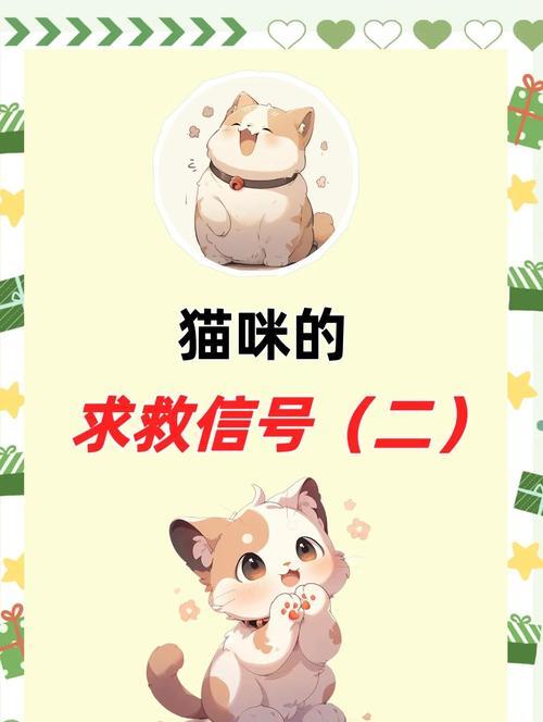猫咪怀孕了，铲屎官该怎么办？（铲屎官要注意些什么？）