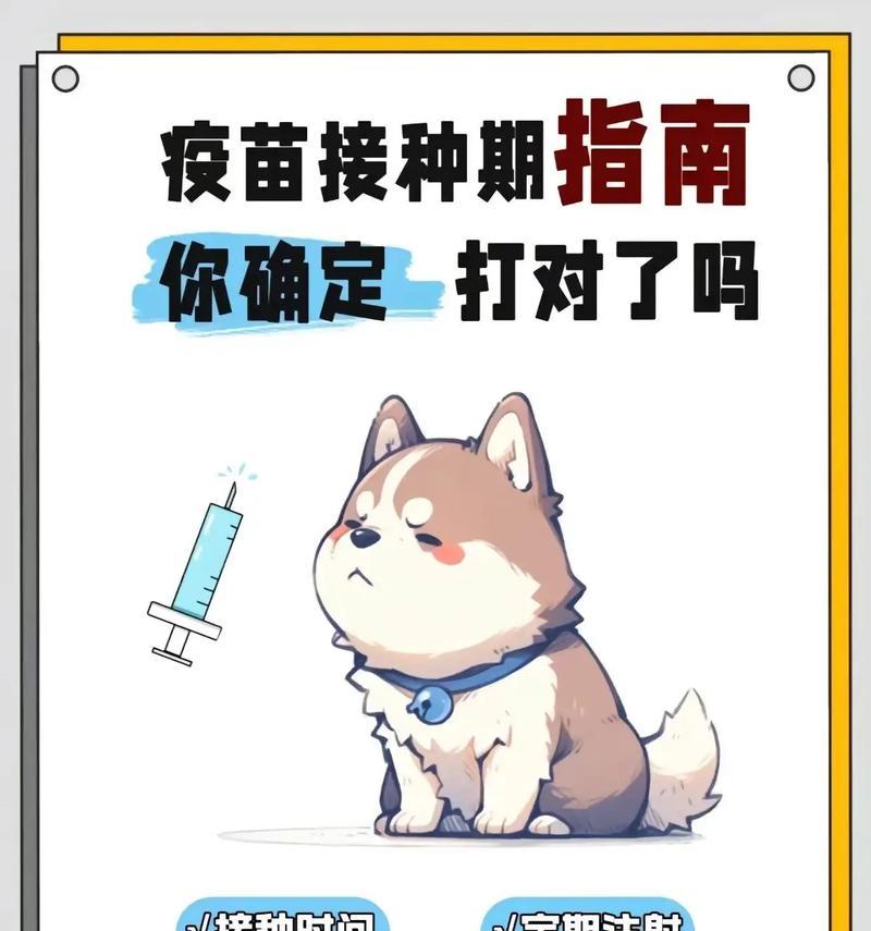 狗狗疫苗的重要性（了解狗狗疫苗种类和接种时间，为它们健康保驾护航）