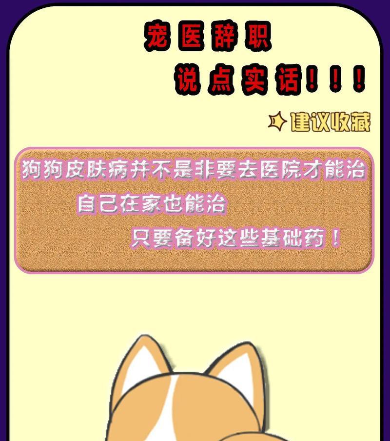 狗狗急性肾炎的治疗时长及注意事项（了解治愈狗狗急性肾炎所需的时间和必要措施）