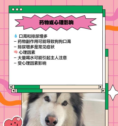 狗狗口渴的五个表现（了解狗狗口渴的迹象，关注它们的健康）
