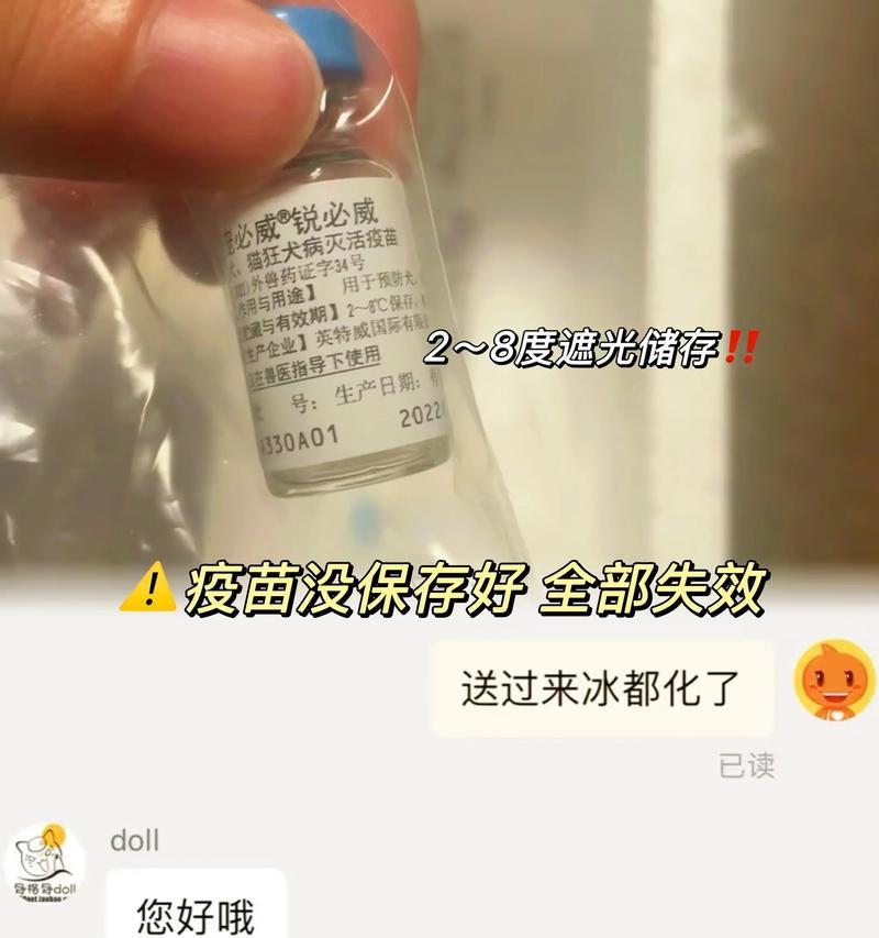 狗患有狂犬病后多久会死亡？（病情发展速度、医疗干预和种类的关键影响因素）
