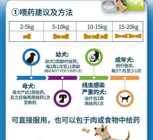 成犬驱虫频率及（了解成犬驱虫的必要性和频率，保护宠物健康）