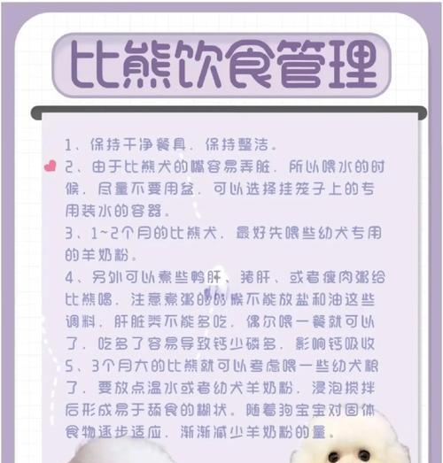 比熊犬剪毛的周期与方式（如何保持比熊犬美丽的长毛）
