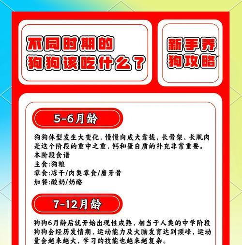 狗粮泡水时间多久合适可以食用（狗粮泡水的最佳时间与方法）