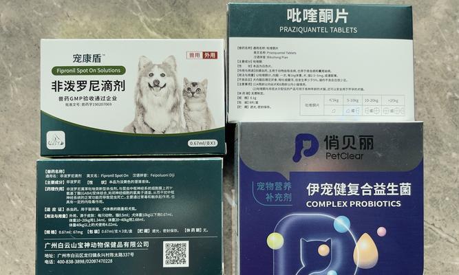 比熊两个月驱虫时间和方法（宠物健康保障，比熊需要定期驱虫）