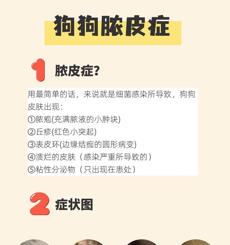 成年狗常见传染病及防治方法（了解成年狗常见的传染病，守护毛孩健康）
