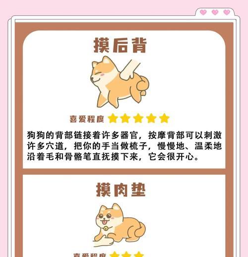 狗狗奶水不足怎么办？教你通过按摩来疏通（解决狗狗乳汁不足问题的有效方法与技巧）