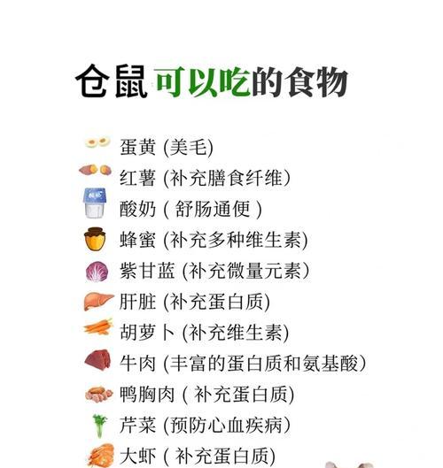 仓鼠的禁食水果（探索仓鼠饮食禁忌，保护小宠物的健康）