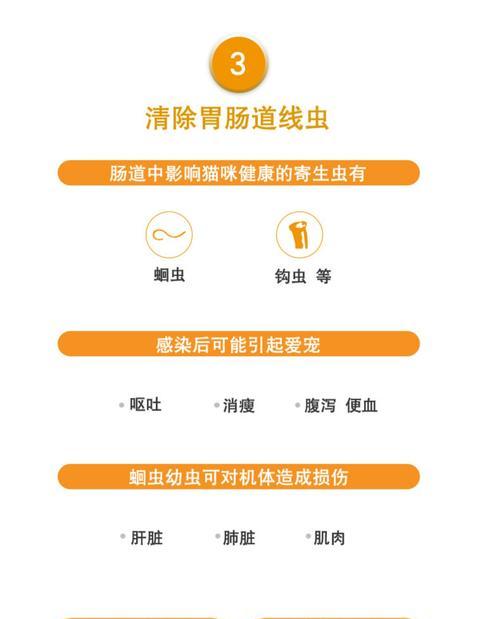 小猫吃完驱虫药后多久才能排虫？（探究小猫排虫的时间和过程，帮助宠物主人更好地护理爱猫。）