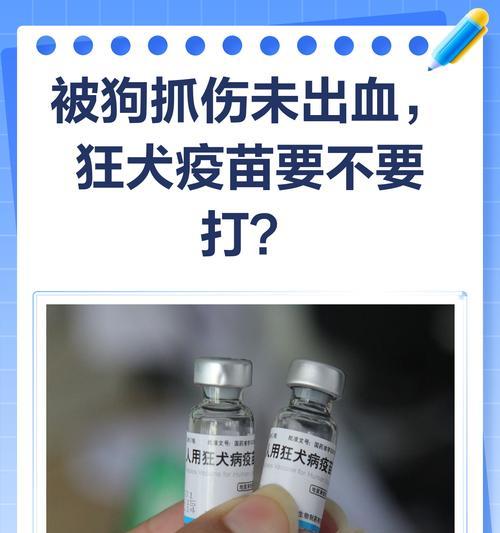 狗狗打狂犬疫苗免疫期有多长？（了解免疫期，守护毛小孩的健康）