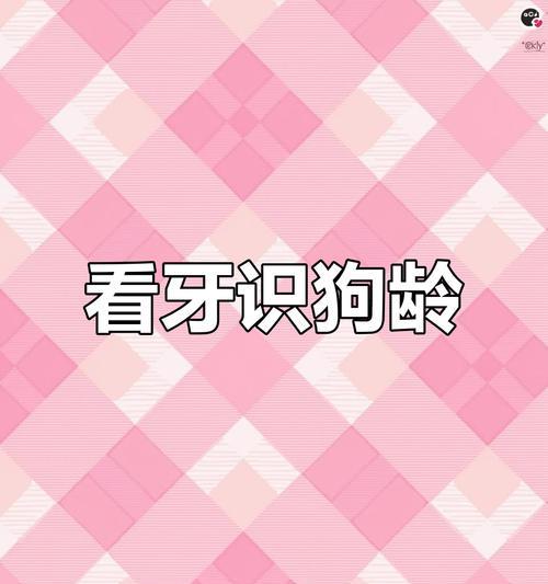 从狗狗的牙齿了解它们的健康（了解狗狗牙齿的重要性及相关信息）