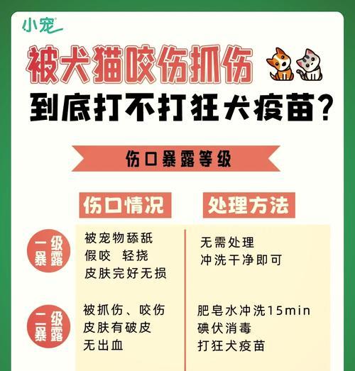 狗疫苗（详解狗每年需要接种的疫苗及其作用）