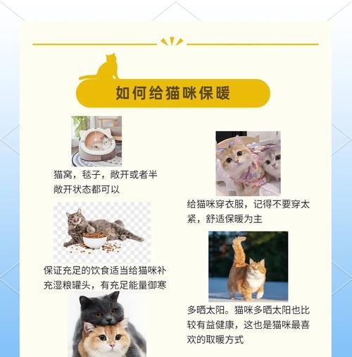 母猫下完崽后多久能洗澡？（照顾母猫和幼崽的正确时间表）
