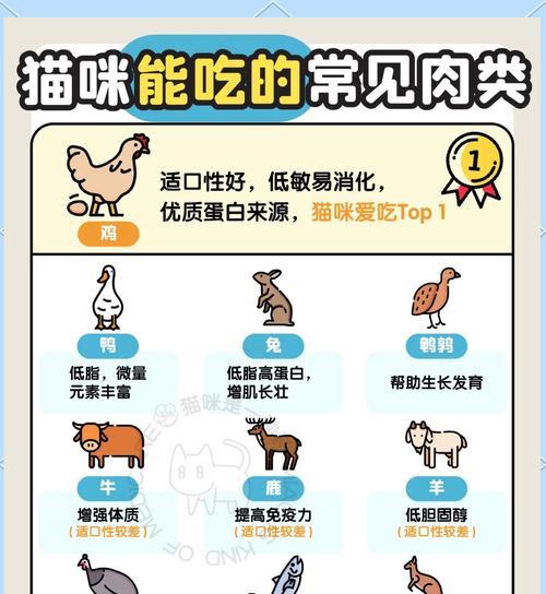 猫咪的日常饮食需求（了解猫咪每日所需猫粮量，打造健康饮食习惯）