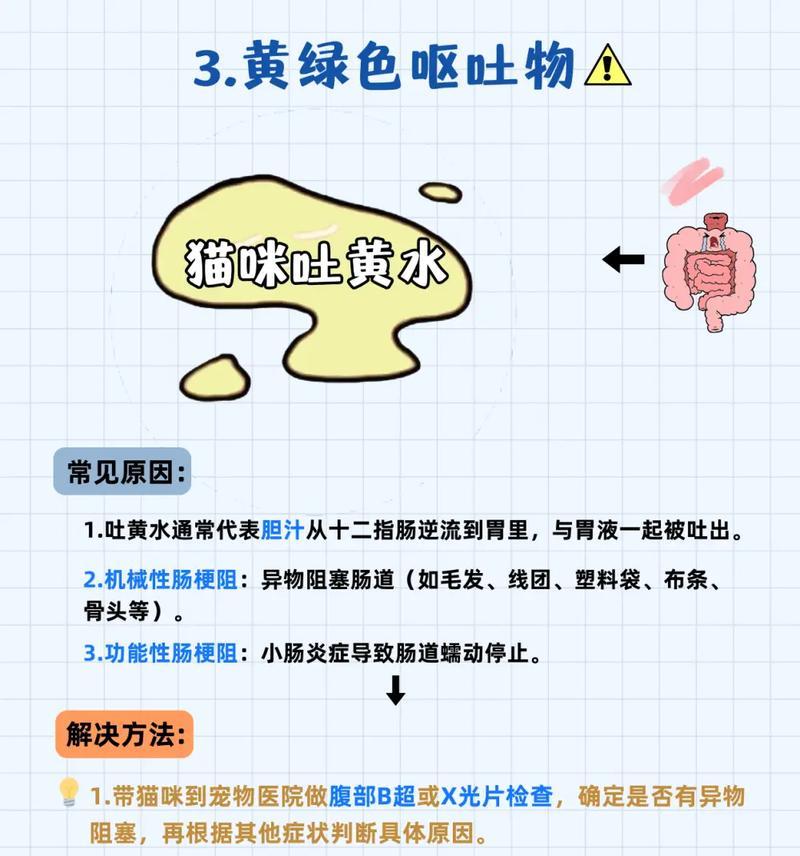 猫咪呕吐的原因及分析（探究猫咪呕吐的种类及解决方法）
