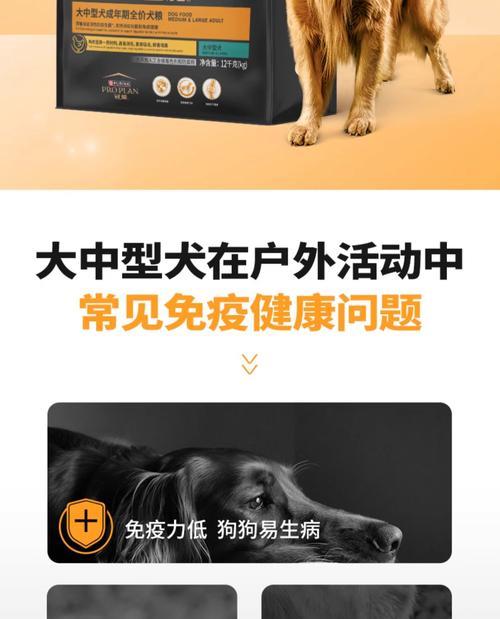 狗得了冠状病毒，多久可以养狗？（了解狗得冠状病毒后的养犬时机选择）