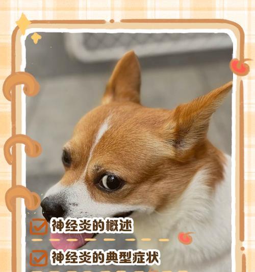 如何判断你的狗狗是否生病？（掌握10种狗狗生病的表现，守护你的爱宠健康）