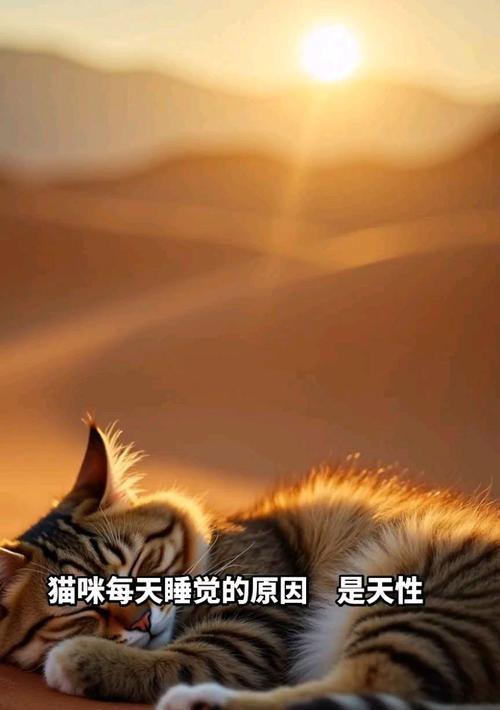 猫咪的睡眠习惯揭秘（探寻两个月大的小猫一天睡多久的奥秘）