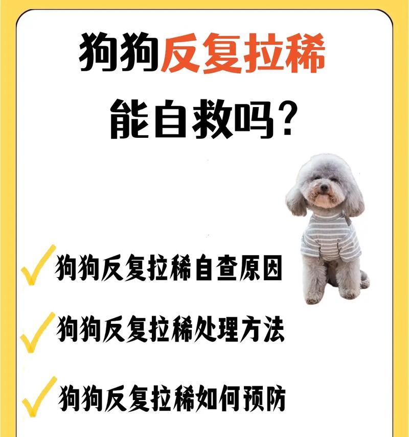 狗狗呕吐不要慌，6种情况与处理（狗狗呕吐的常见原因及应对方法，让你更放心养狗）