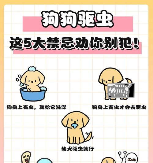 狗狗吃了驱虫药后多久可以进食？（探寻狗狗服用驱虫药后合适的进食时间）