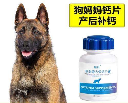 母德牧犬怀孕多久补钙？（为何重要？合理补钙有哪些方法？）