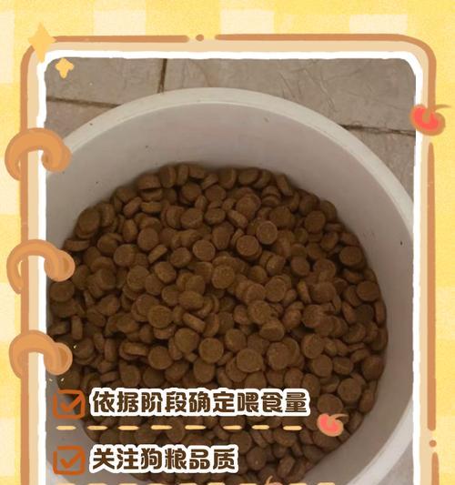 以10斤狗粮幼狗能吃多久？（探索幼狗饮食需求和饲养时间的关系）