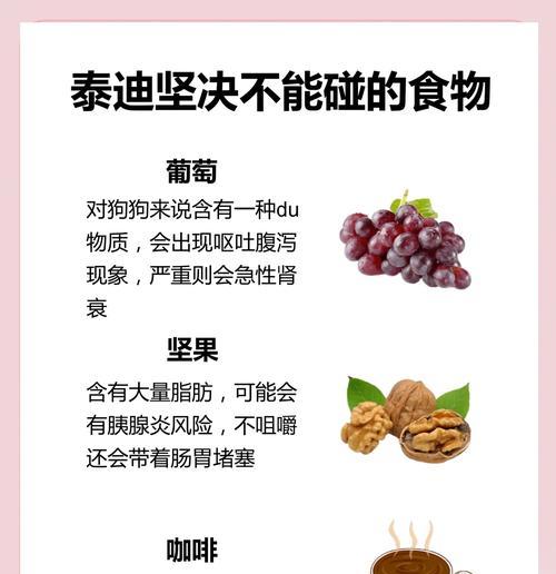 泰迪犬禁食水果榜单（哪些水果会危害到泰迪犬的健康？）