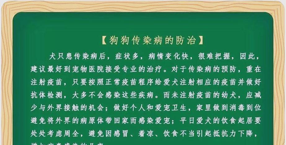 狗传染病的检测时间及方法（了解狗传染病检测的关键性，保护宠物健康）