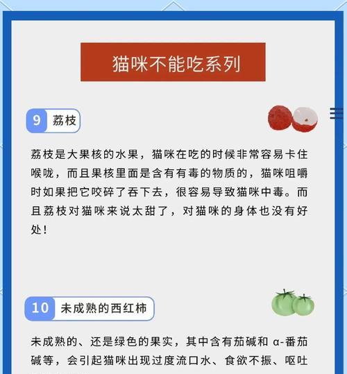 小猫没有食物多久会死亡的严重后果（揭示小猫饥饿对生命的危害与教育责任）