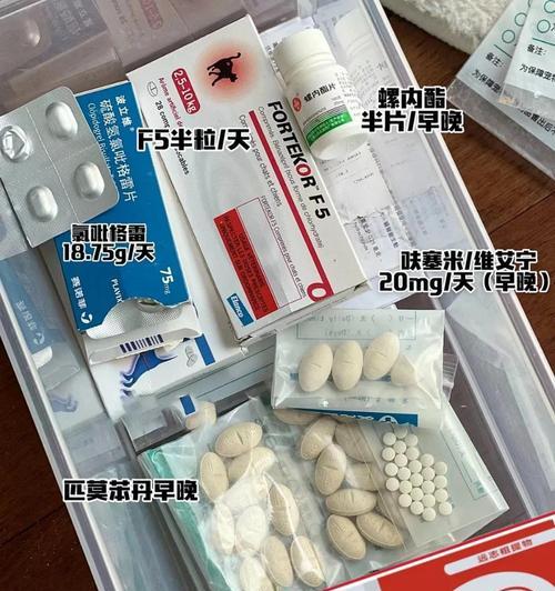 探索猫心脏病的药物治疗方法（药物治疗在猫心脏病中的应用及效果观察）