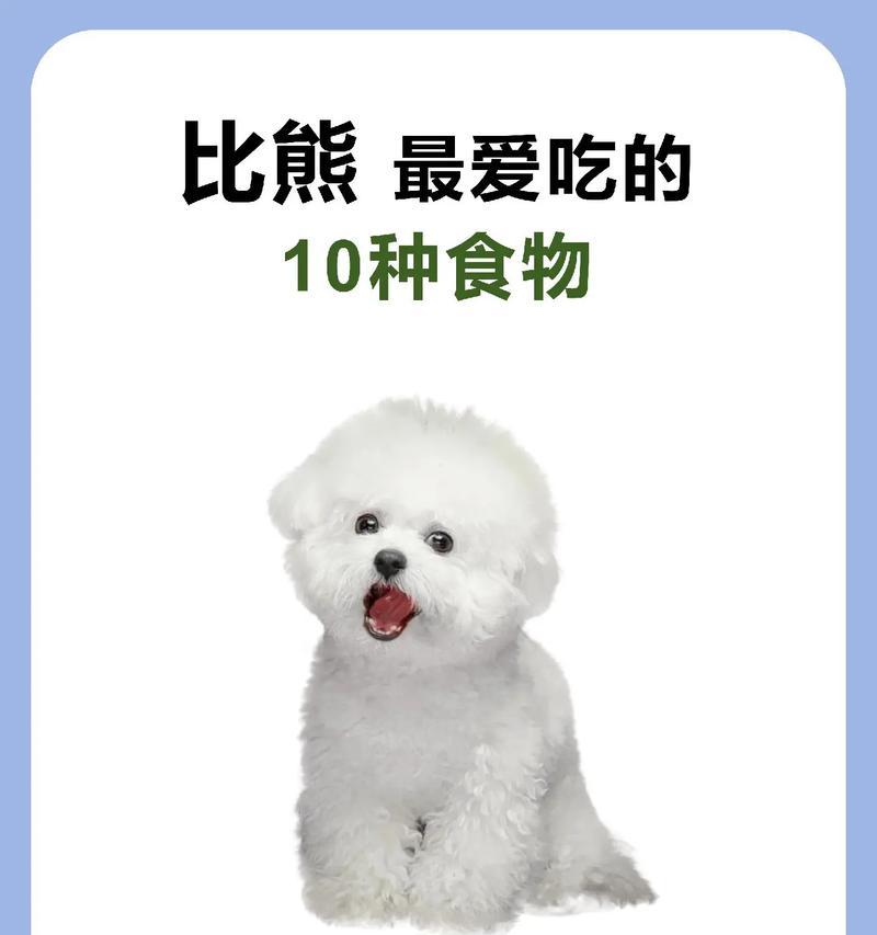 如何判断比熊是否老了？（通过狗狗年龄对照表来确定比熊的年龄）