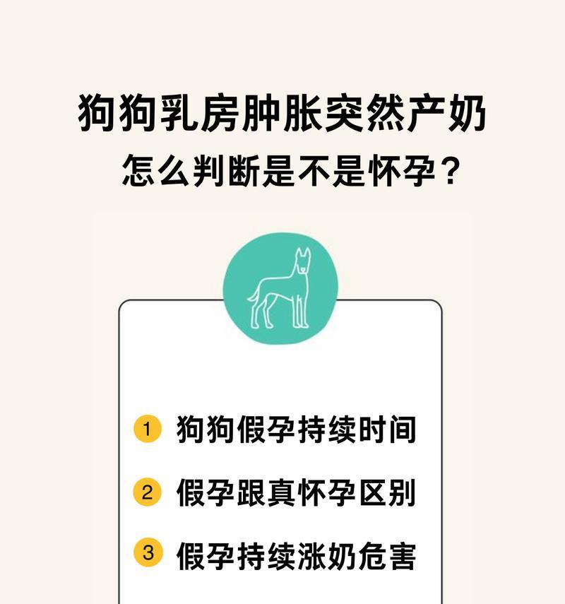 小狗生下后多久会找奶吃？（探索小狗找奶吃的时间和行为特点）