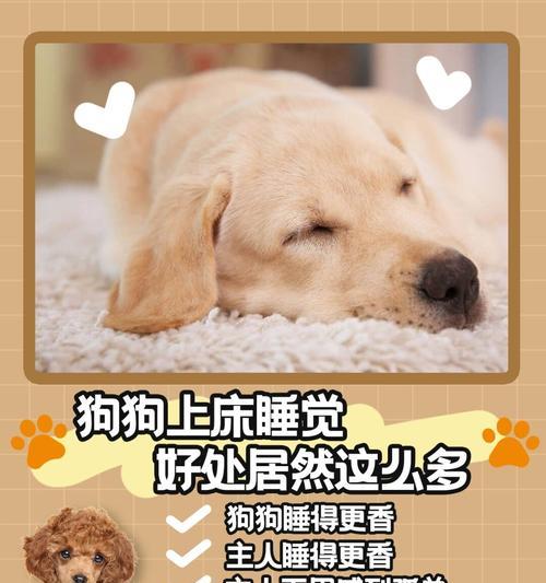 狗狗睡觉的时间究竟有多长？（揭秘狗狗睡眠时间的奥秘）