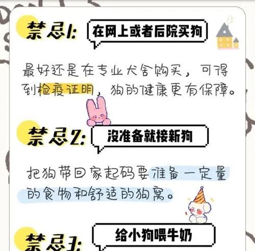 比熊的正确喂养方式（每天几顿饭最健康？一日三餐的重要性）