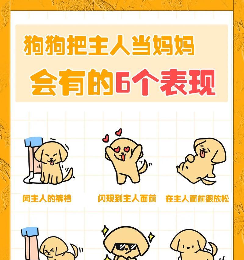 六种高效教育狗狗的方法（让你的宠物成为听话的好伙伴）