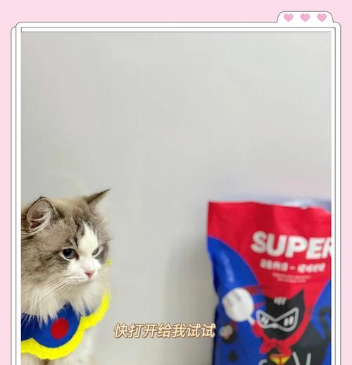 猫绝育后多久可以使用猫砂？（了解猫绝育后使用猫砂的时间表）