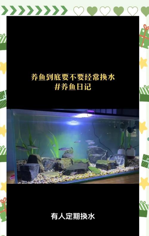夏天养鱼，适合多久换一次水？（水质保障与鱼儿健康的关键）