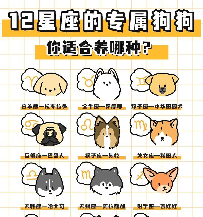 狗的配合时间有多久？（探讨狗狗适应新环境所需的时间以及如何帮助其顺利适应）