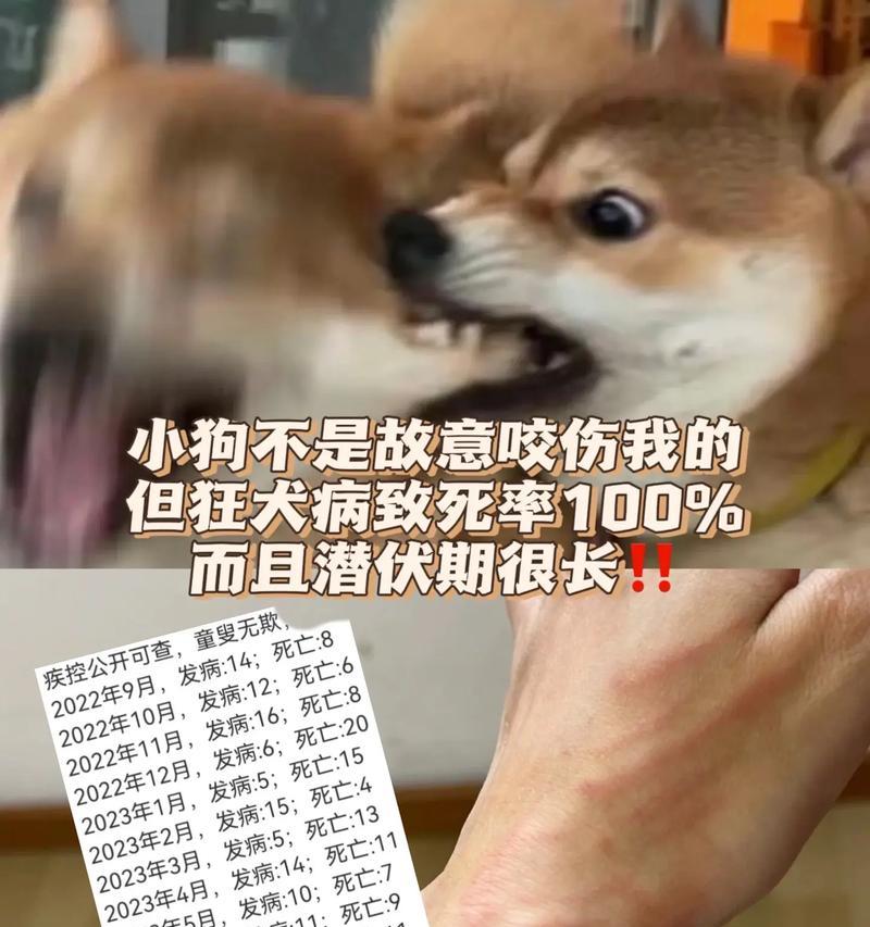 被猫抓伤后打狂犬疫苗的注意事项（猫抓伤是否需要打狂犬疫苗？打狂犬疫苗的时间要求和预防措施）