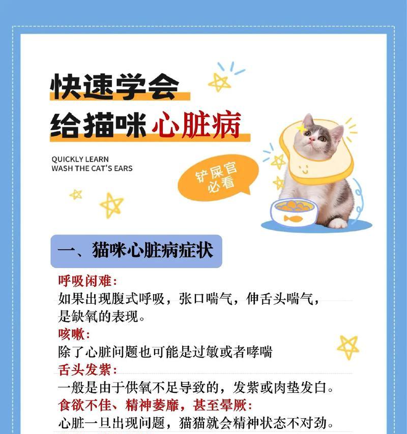 揭秘猫的主要疾病（探索猫咪最常见的病症及预防措施）