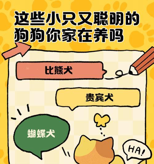 选择适合遛狗的时间是关键，你的狗狗也懂得享受！（为你的宠物选择最佳遛狗时间，让它们健康快乐成长！）