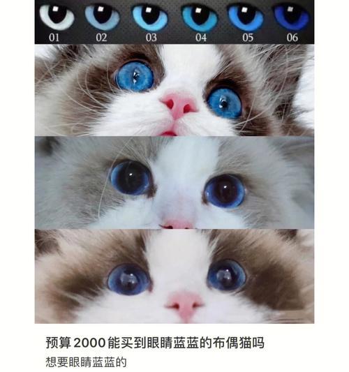 以妙猫能遗传哪些技能？（深入探究以妙猫的遗传技能与特性）