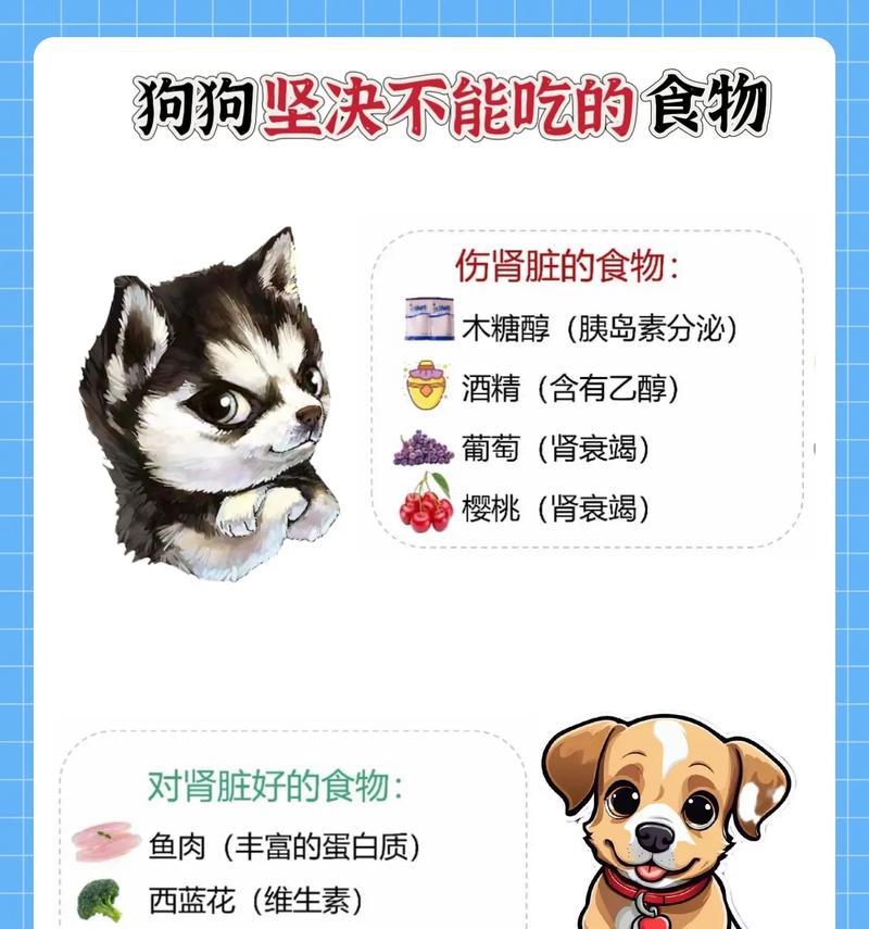 狗的消化系统（探索狗类的消化速度及其影响因素）