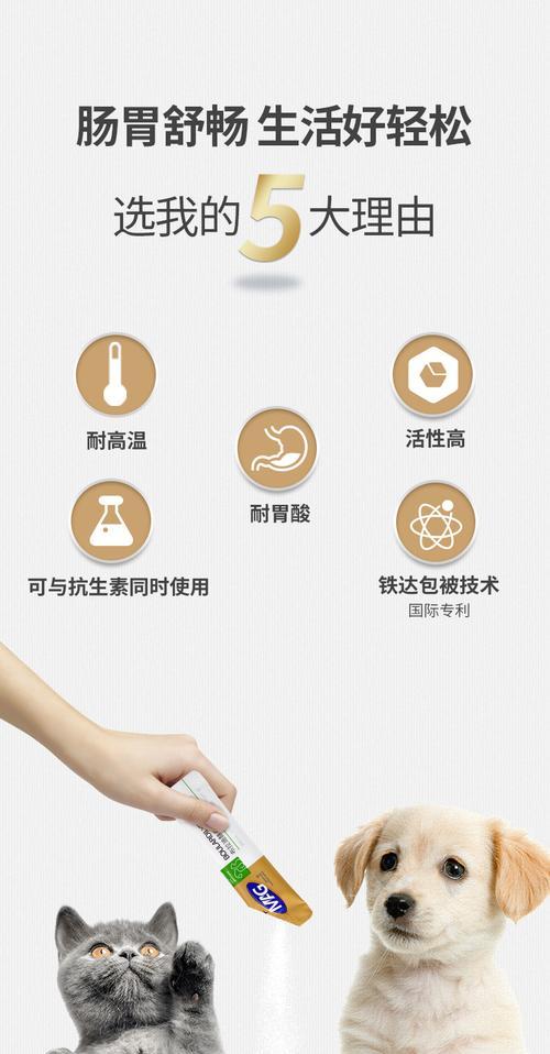 肠胃宝，猫咪的营养守护（探究肠胃宝的疗程及效果）