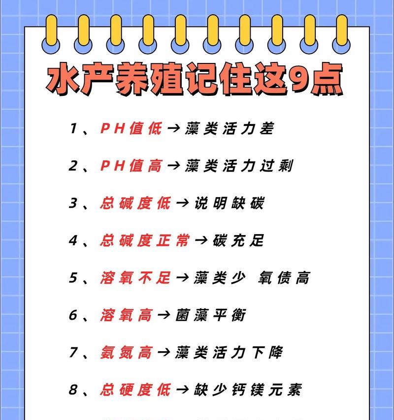 如何正确养小鱼（科学喂养小鱼的时间和饮食）